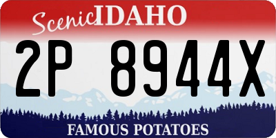 ID license plate 2P8944X