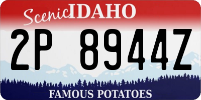 ID license plate 2P8944Z