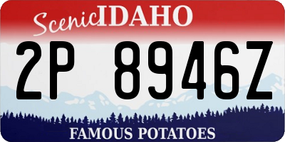 ID license plate 2P8946Z