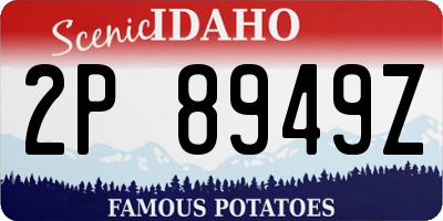 ID license plate 2P8949Z