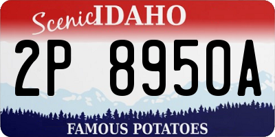 ID license plate 2P8950A