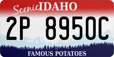 ID license plate 2P8950C
