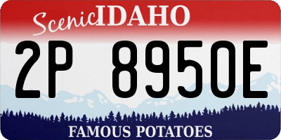 ID license plate 2P8950E
