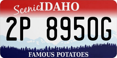 ID license plate 2P8950G