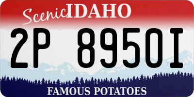 ID license plate 2P8950I