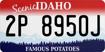 ID license plate 2P8950J