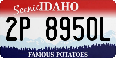 ID license plate 2P8950L