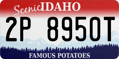 ID license plate 2P8950T