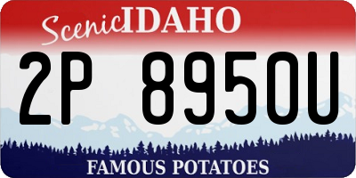 ID license plate 2P8950U