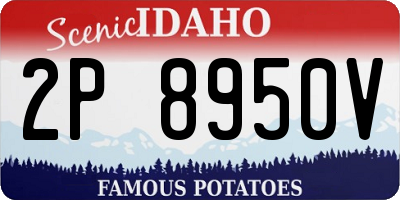ID license plate 2P8950V
