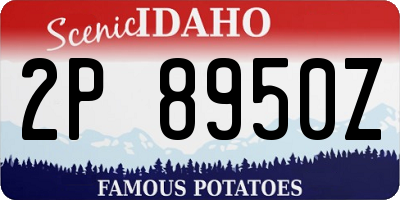 ID license plate 2P8950Z