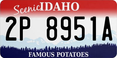 ID license plate 2P8951A