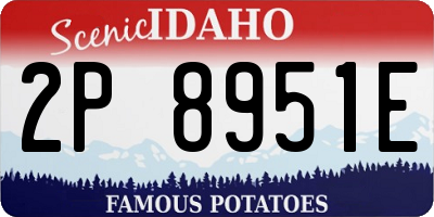 ID license plate 2P8951E