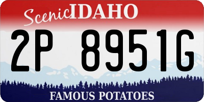 ID license plate 2P8951G