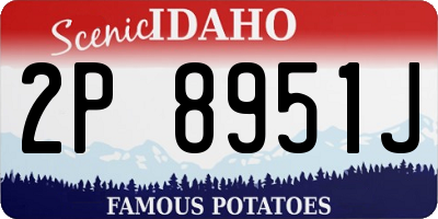 ID license plate 2P8951J