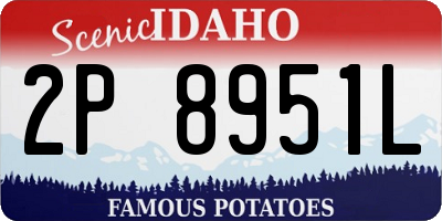 ID license plate 2P8951L