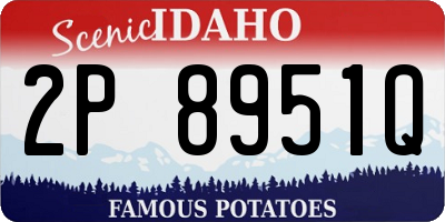 ID license plate 2P8951Q