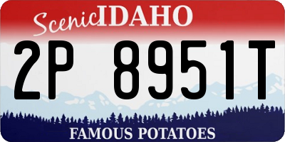 ID license plate 2P8951T