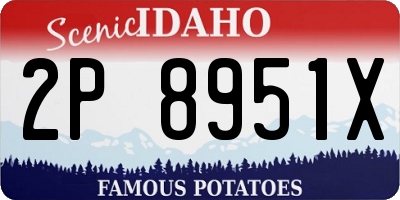 ID license plate 2P8951X