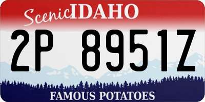 ID license plate 2P8951Z