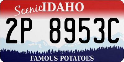 ID license plate 2P8953C