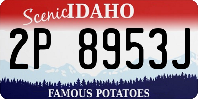 ID license plate 2P8953J