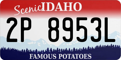 ID license plate 2P8953L