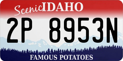 ID license plate 2P8953N
