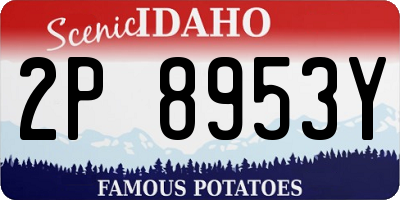 ID license plate 2P8953Y