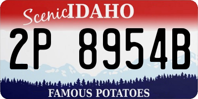 ID license plate 2P8954B