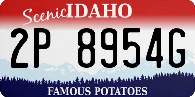 ID license plate 2P8954G