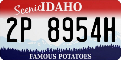 ID license plate 2P8954H