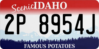 ID license plate 2P8954J