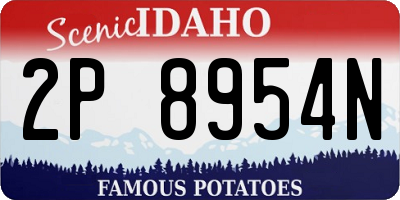 ID license plate 2P8954N