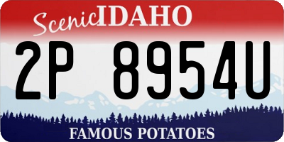 ID license plate 2P8954U