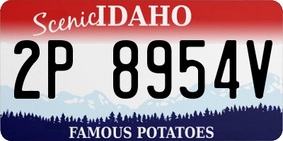 ID license plate 2P8954V