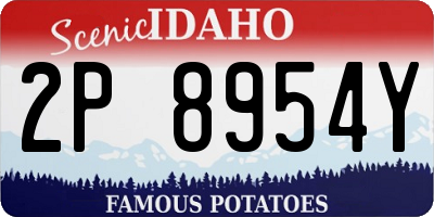 ID license plate 2P8954Y