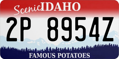 ID license plate 2P8954Z