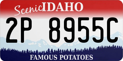 ID license plate 2P8955C
