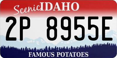 ID license plate 2P8955E