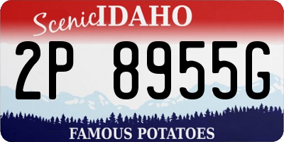 ID license plate 2P8955G