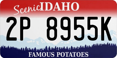 ID license plate 2P8955K