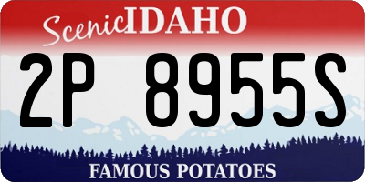 ID license plate 2P8955S