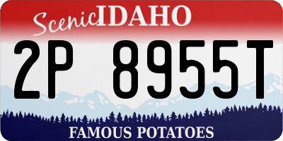 ID license plate 2P8955T
