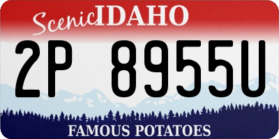 ID license plate 2P8955U