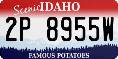 ID license plate 2P8955W