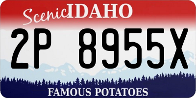 ID license plate 2P8955X