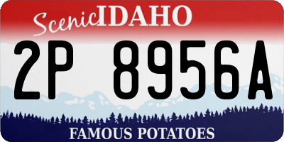 ID license plate 2P8956A