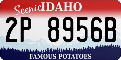 ID license plate 2P8956B