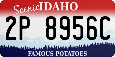 ID license plate 2P8956C